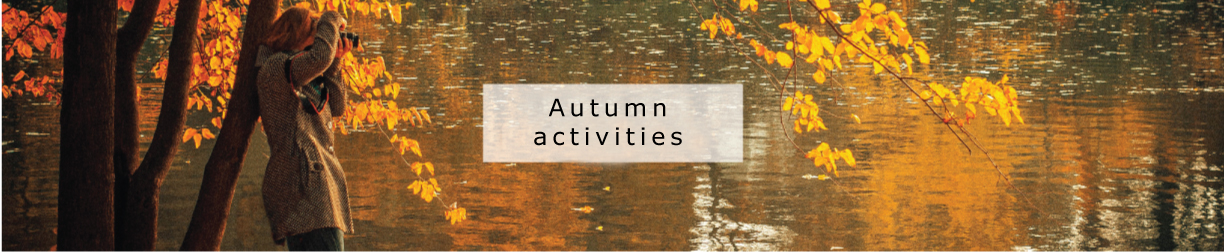 Autumn activities